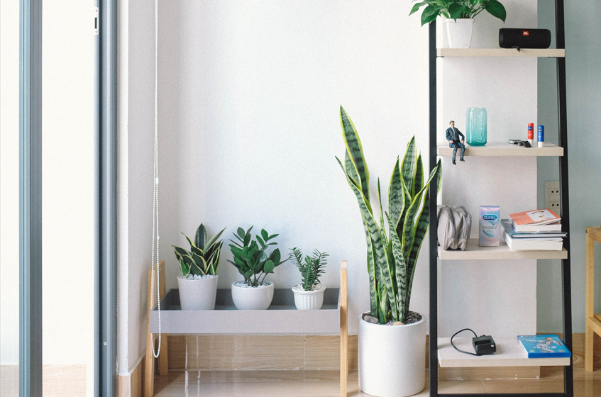Tendências de decoração para 2022: veja o que está em alta e cabe no seu bolso!